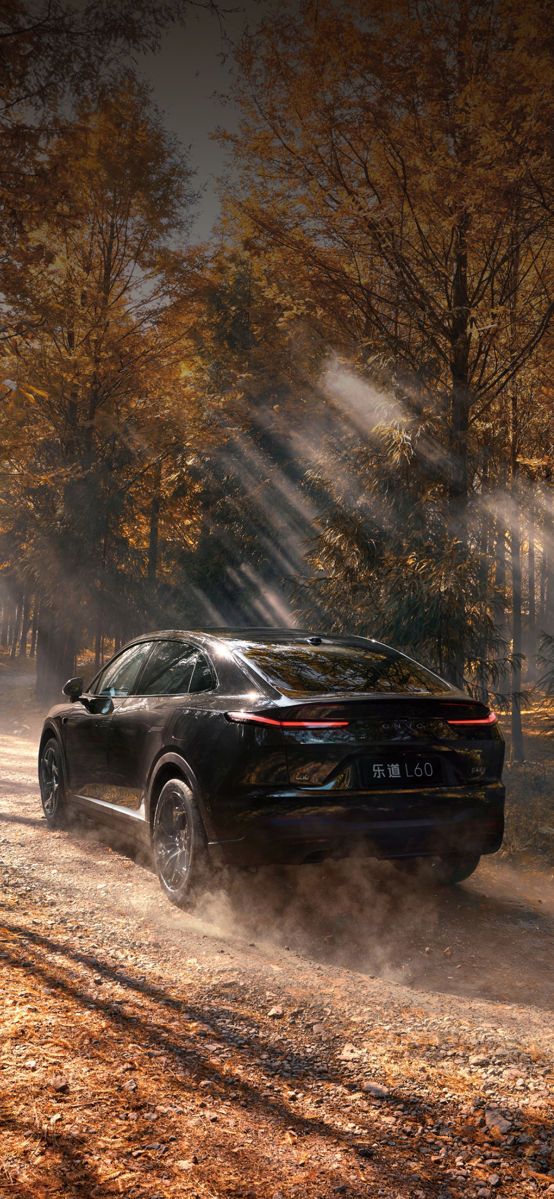 乐道L60-家庭智能电动中型SUV