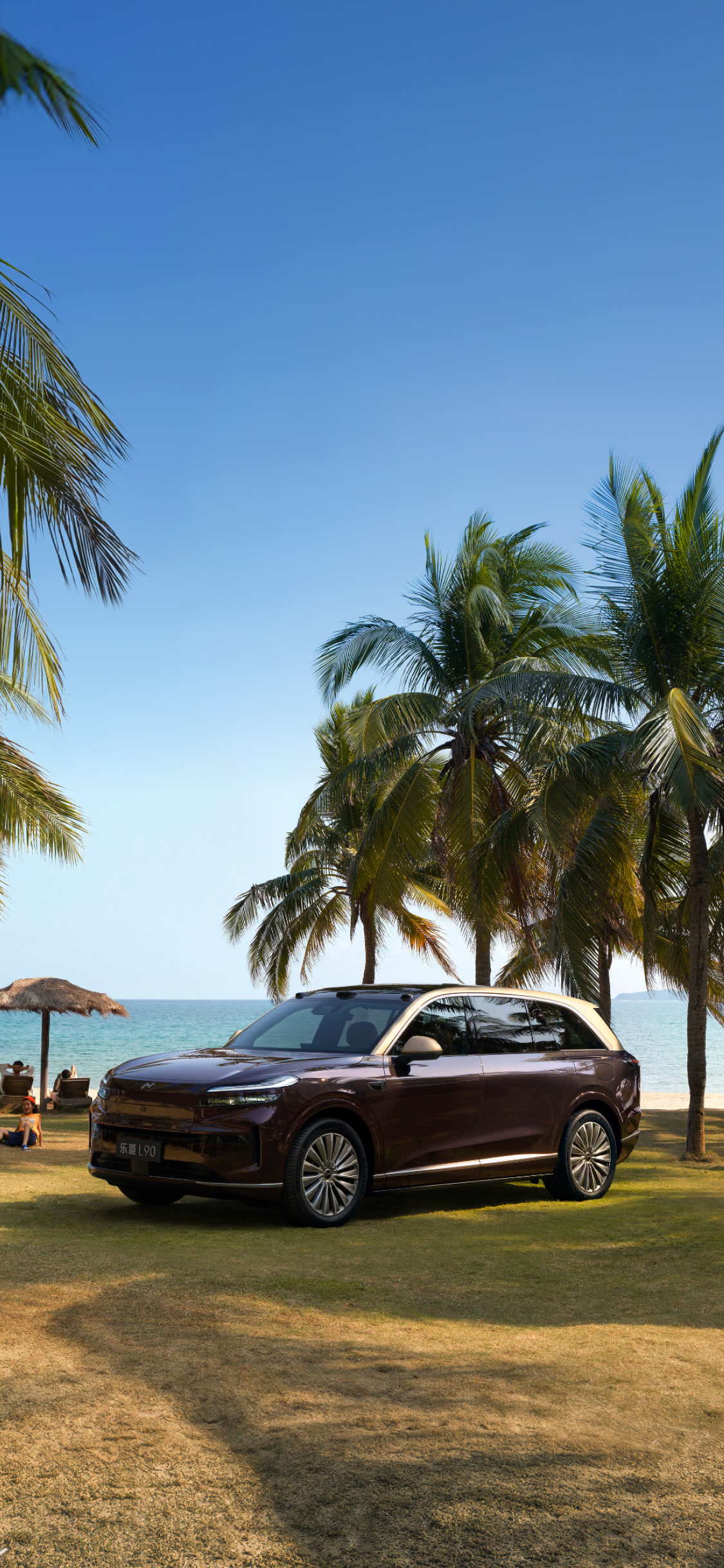 乐道L90-智能大空间旗舰SUV