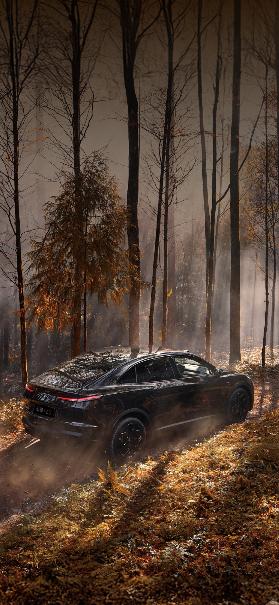 乐道L60-家庭智能电动中型SUV 乐道L60-家庭智能电动中型SUV