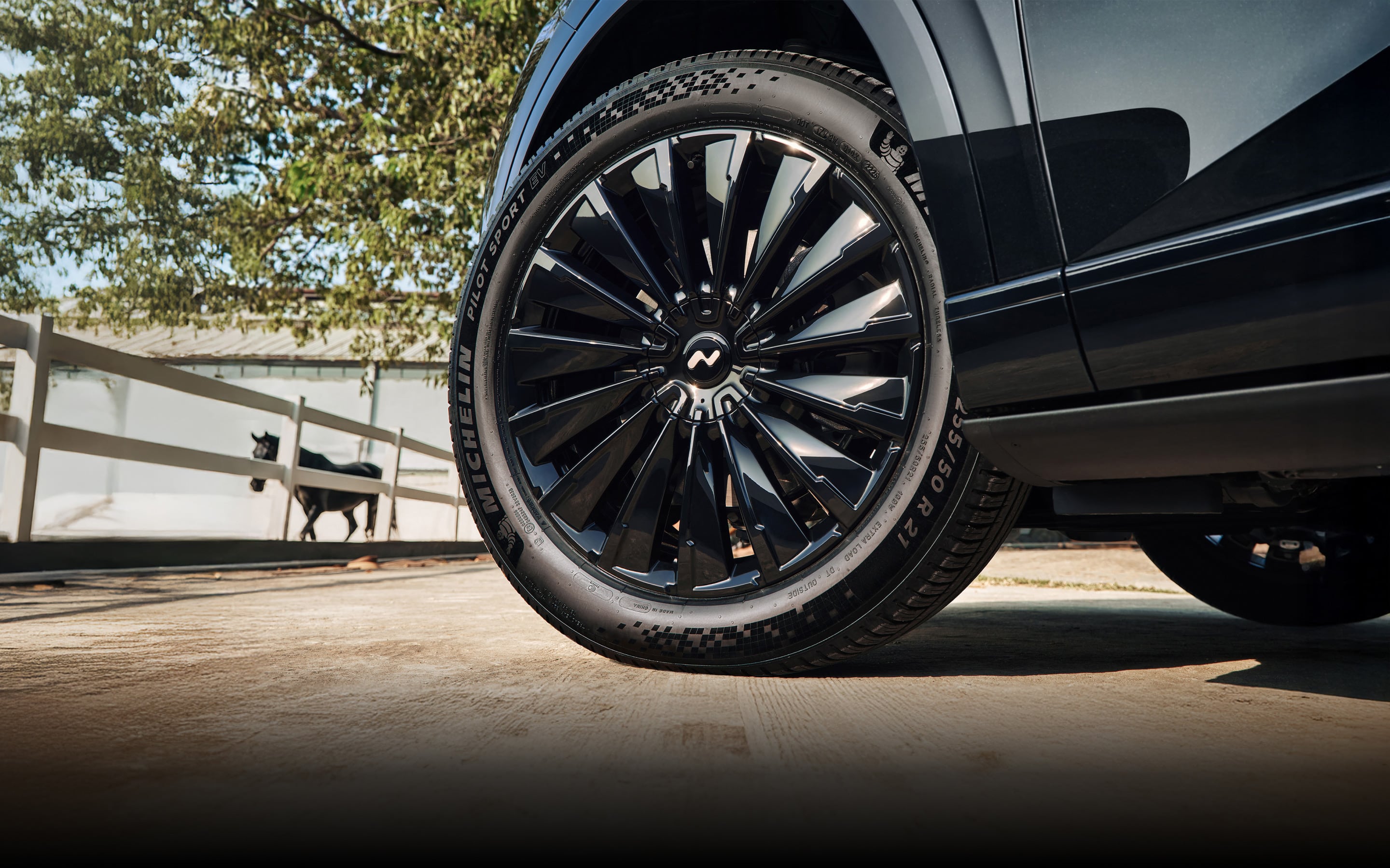 21 英寸多辐曜黑轮圈